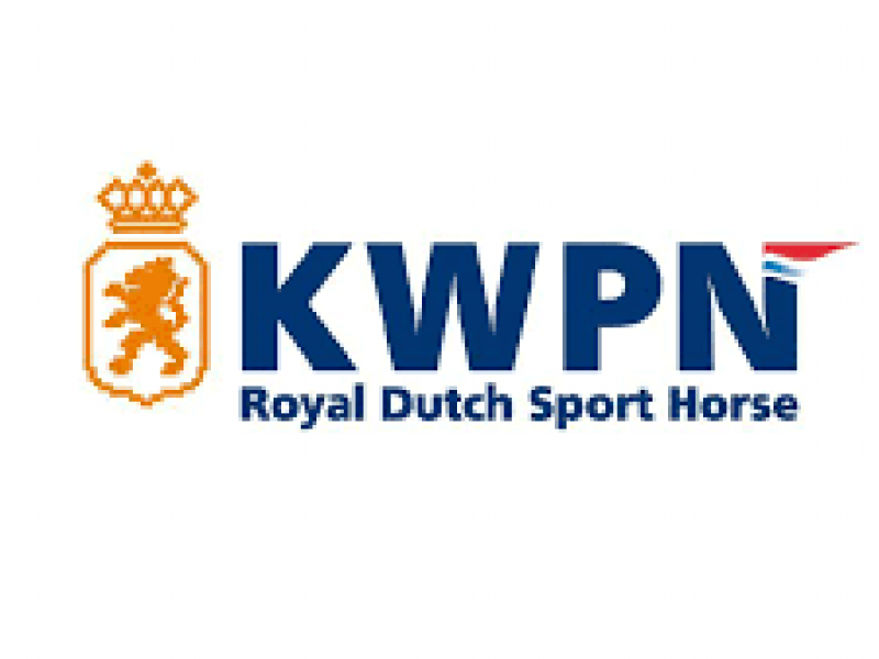 Three Optimus Stallions Move Forward in KWPN Approvals!