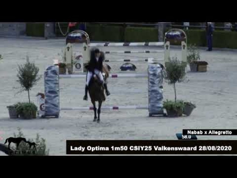 Lady Optima clear in first 1m50