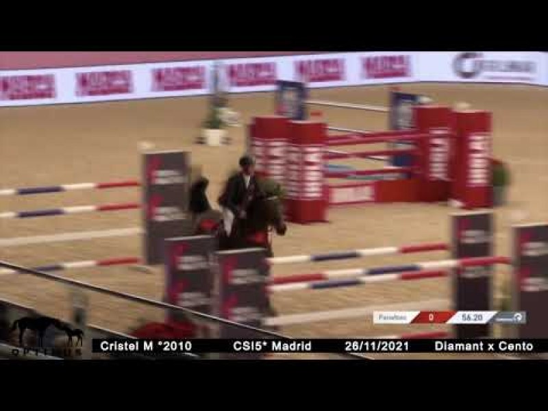 Cristel & Niels Bruynseels clear at CSI5* Madrid - ready for the GP on Sunday