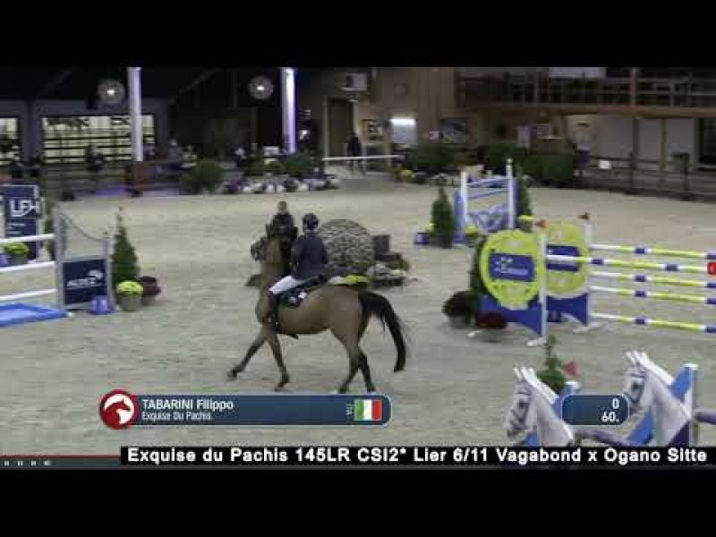 Exquise du Pachis 3 days clear (Grand Prix , Longines Ranking and Qualification) at CSI2* Lier