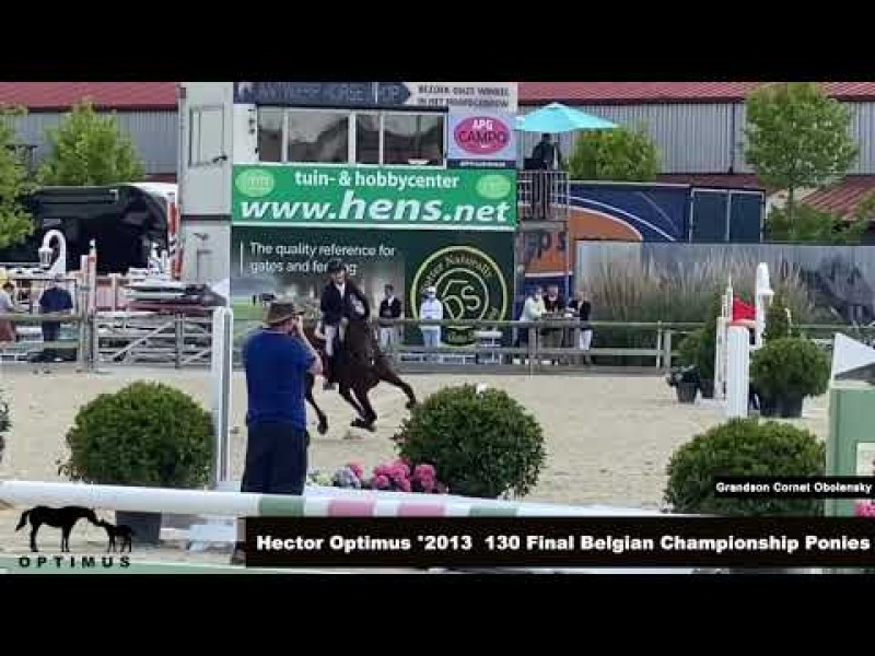 Silver for 7 years old Hector Optimus and Jonas Van Dijck on Belgian Championship ponies.