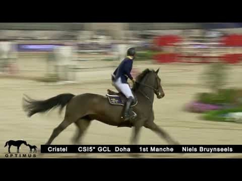Cristel 8th in CSI5* GCL Doha, daughter Cacacha wins